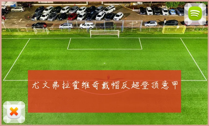 尤文弗拉霍维奇戴帽反超登顶意甲