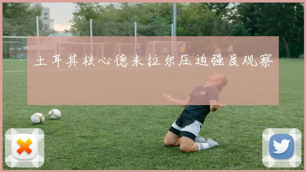土耳其核心德米拉尔压迫强度观察