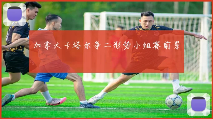 加拿大卡塔尔争二形势小组赛前景