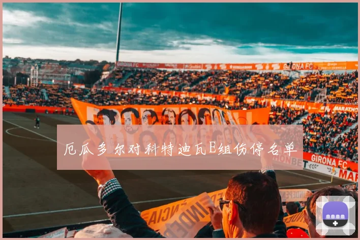 厄瓜多尔对科特迪瓦E组伤停名单