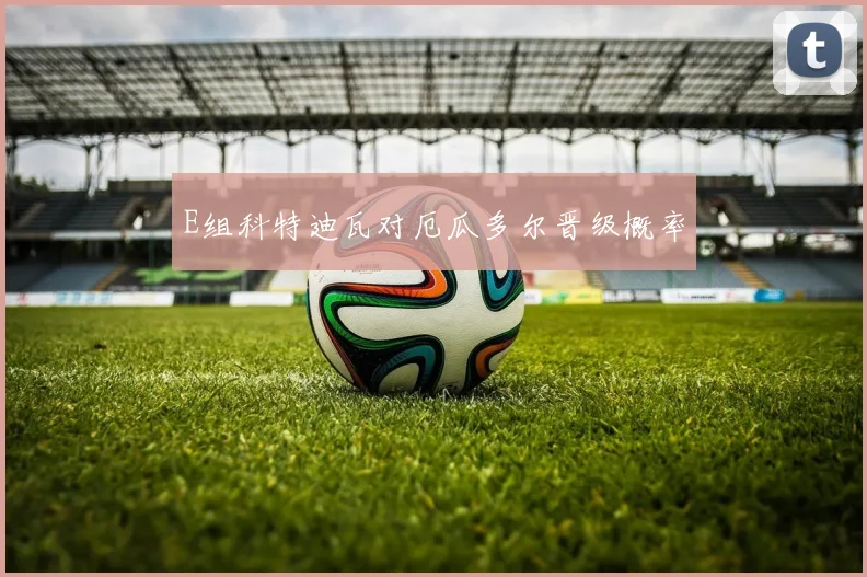E组科特迪瓦对厄瓜多尔晋级概率