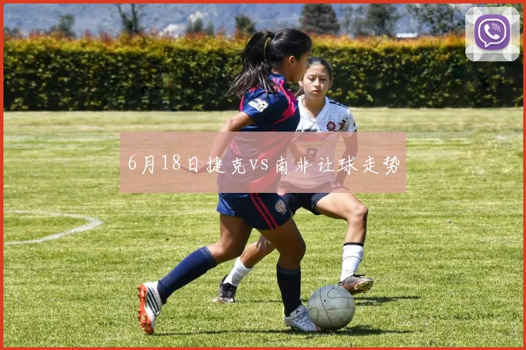 6月18日捷克vs南非让球走势